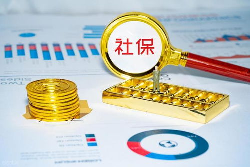 社保钱袋子谁掏空？强制缴费究竟保护谁？企业最终仅认这一招