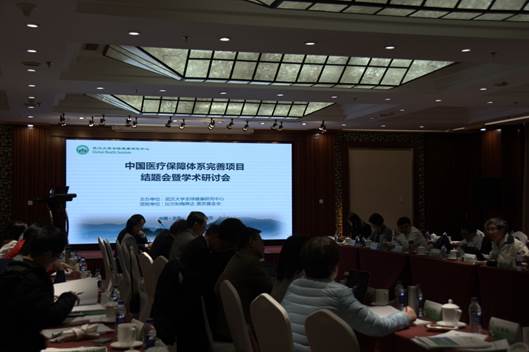武汉大学人文社会科学研究院